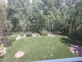 Spacious One Bedroom Walkout Basement Suite
